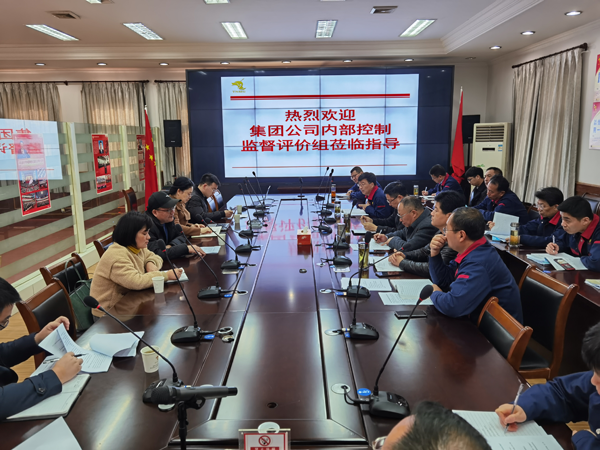 集團(tuán)公司到公司開(kāi)展內(nèi)控自評(píng)檢查工作