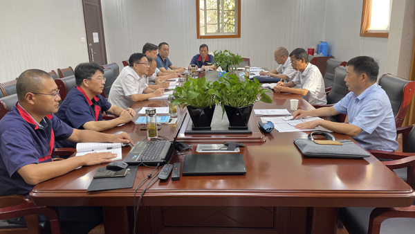 集團公司督查組到公司開展督查工作 集團公司督查組到公司開展督查工作